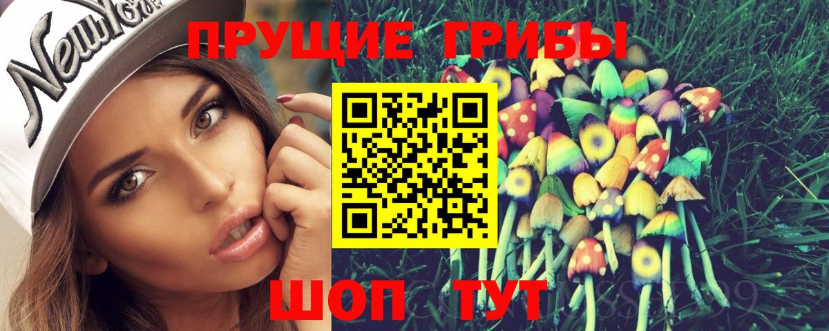 Галлюциногенные грибы Cubensis  Псилоцибиновые грибы мицелий  Вход с VPN  Борисоглебск 